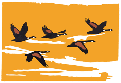 Autumn Migration